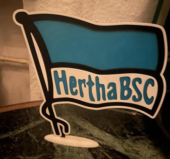 Herha Bsc Logosu Plastik Aparat