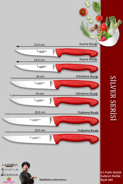Lazbisa Silver Serisi Mutfak Bıçak Seti Et Ekmek Sebze Meyve Bıçağı 6 Lı Set Günlük Kullanım ( Mtf-216) - 2