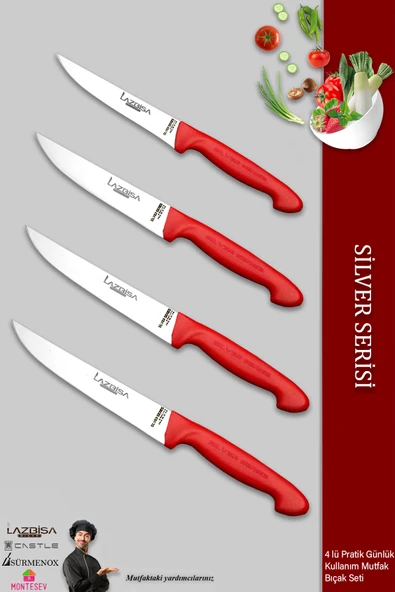 Lazbisa Silver Serisi Mutfak Bıçak Seti Et Ekmek Sebze Meyve Bıçağı 4 Lü Set Günlük Kullanım ( Mtf-2011)