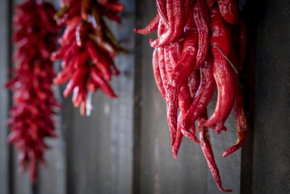 Meşhur Edirne Karaağaç Biberi Tohumu - Resim 2