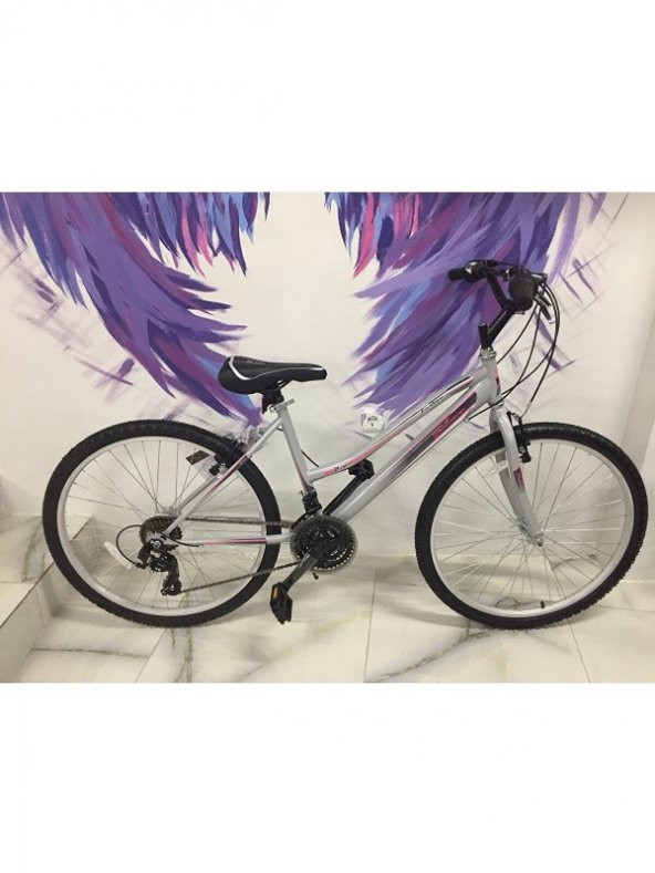 Salcano Fantasia 24 Jant Shimano 21 Vites Kadın Bisikleti gri