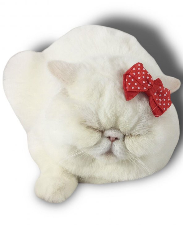 Kedi Tokası Dinner Kırmızı - 2