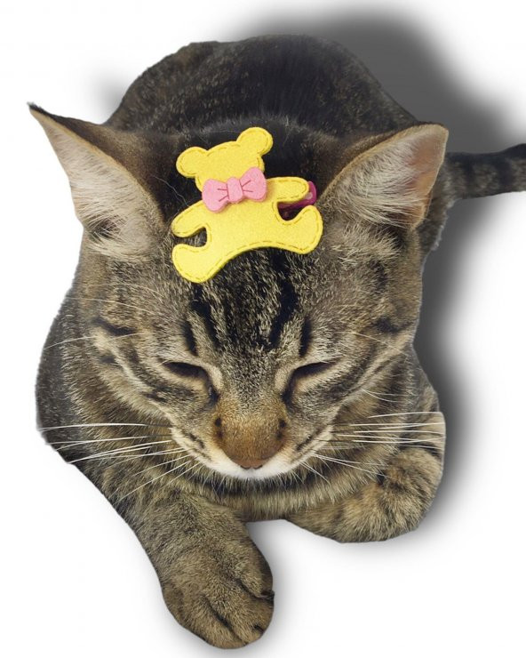 Kedi Tokası Teddy Serisi Yellow - 2