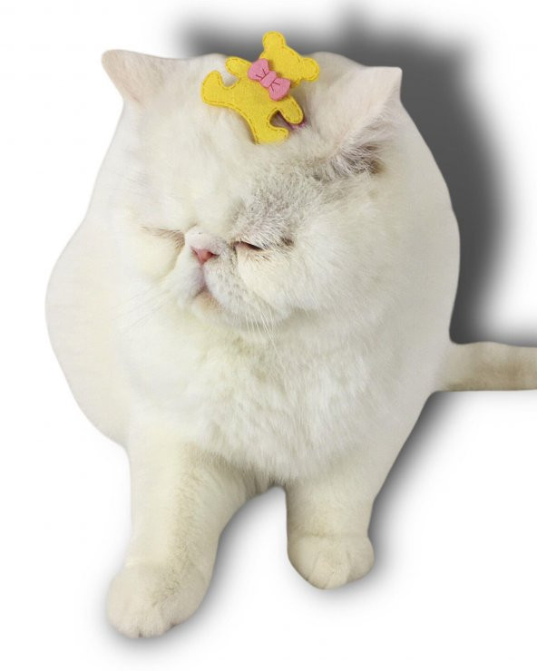 Kedi Tokası Teddy Serisi Yellow - 3