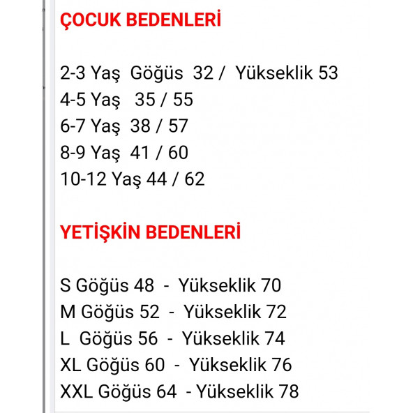 100. Yıl Forması - Resim 3