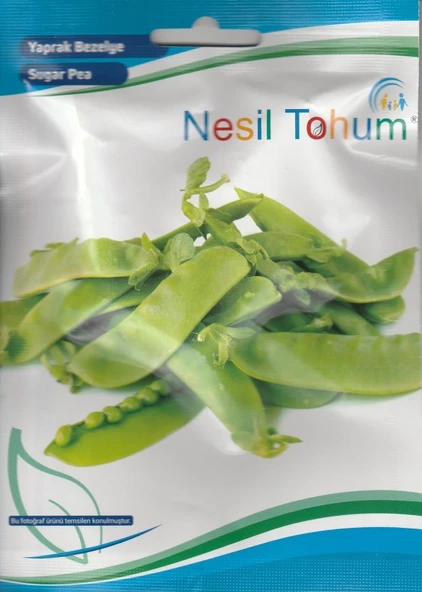 NESİL BEZELYE TOHUMU (YAPRAK )- 10 GR