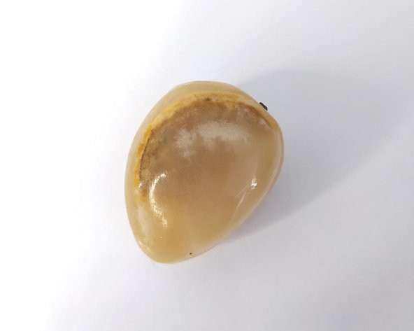 Biblo Doğal Onix Taş Erik Meyve Ev Dekorasyon Masa Süsü Obje - 2