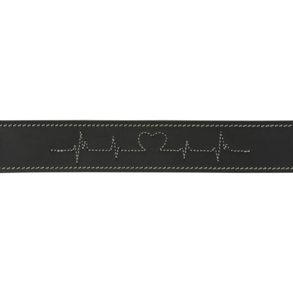 Trixie Köpek Boyun Tasması Kalın Deri 55-65 cm 40mm L-XL Siyah - 2