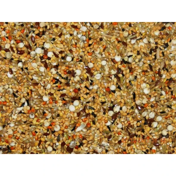 Kuş Yemi Karışık (Kg) ürün görseli 1