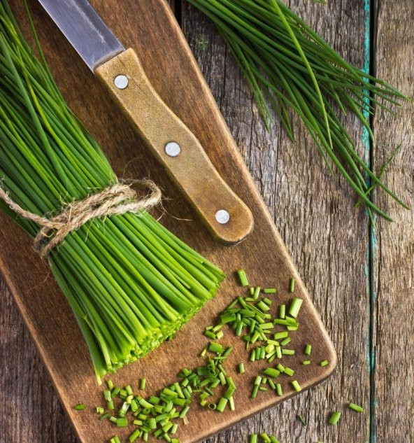 Soğanotu Frenk Soğanı  Tohumu ürün görseli 1