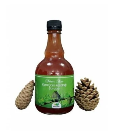 Selver Ana Kara Çam Kozalağı Şurubu 500 Ml ürün görseli