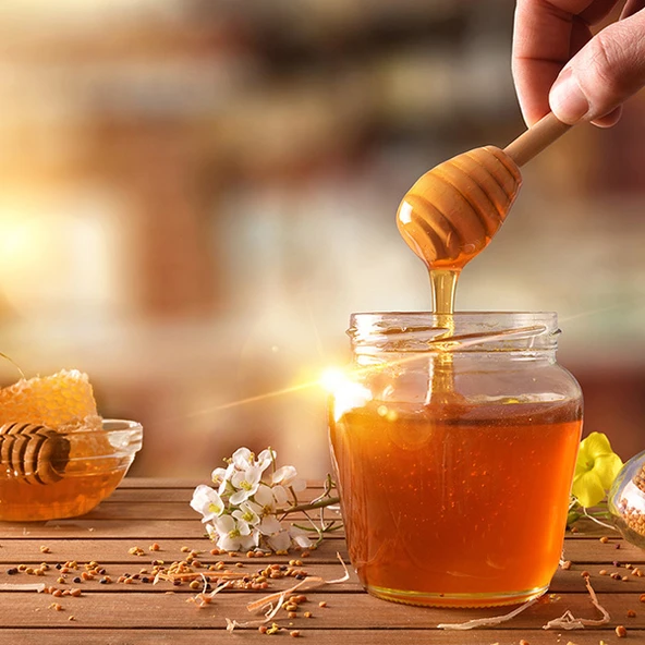 Saf Süzme Bal Mutki (Kg) - Resim 2