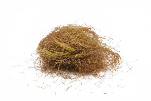 Mısır Püskülü 50 Gr
