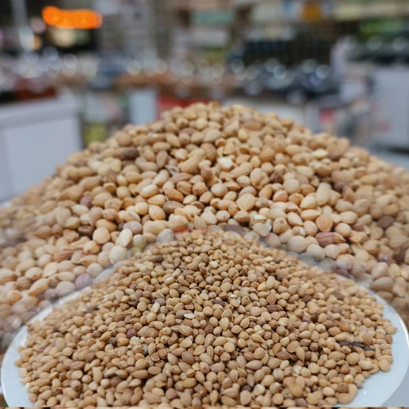 Mahlep Tohumu (Kg) - 1