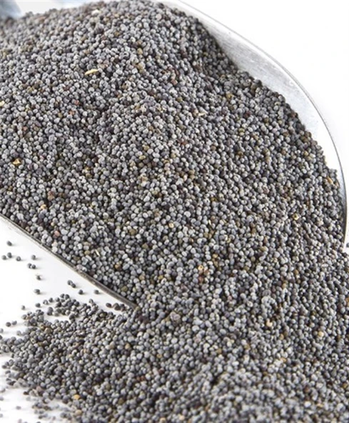 Haşhaş Mavi (Kg) ürün görseli 1