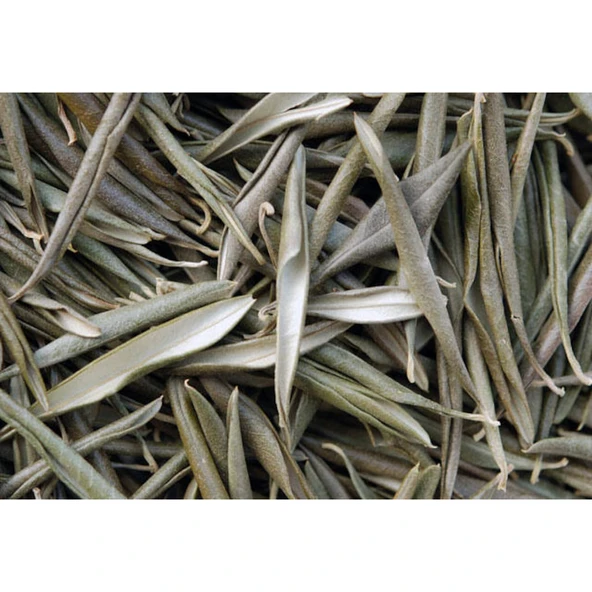 Zeytin Yaprağı 50 Gr - 1