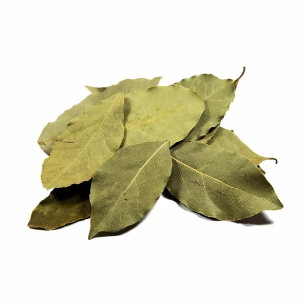Defne Yaprağı 50 Gr