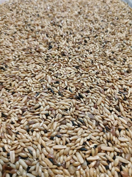 Kanarya Yemi (Kg) ürün görseli