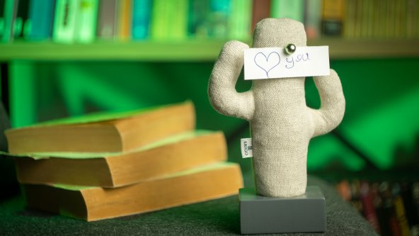Kayigo Gri Woody Üçlü Ofis Seti- Bej Kaktüs - 4