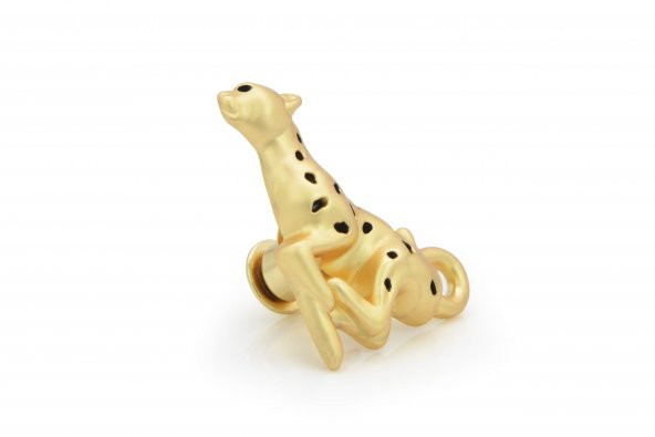 Leopar & Tropikal Yaprak Broş Seti - 3