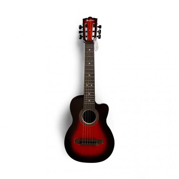 2076 Akustik Gitar 69 cm - 4