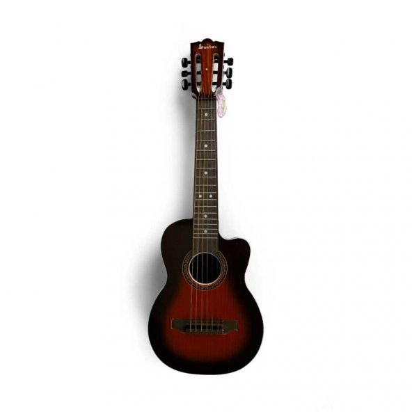 2076 Akustik Gitar 69 cm - 5