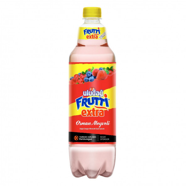 ULUDAĞ FRUTTİ EXTRA ORMAN MEYVELİ PET 300 ML