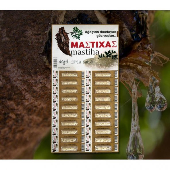Mastiha Doğal Damla Sakızı Kartela 20x1 G - 2