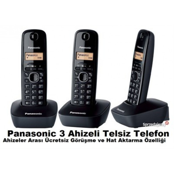 Panasonic KX-TG1613 3 Ahizeli Telsiz Telefon