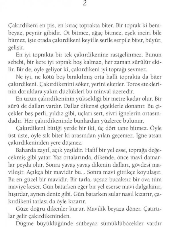 İNCE MEMED 1-2-3-4 (DELTA) - 9