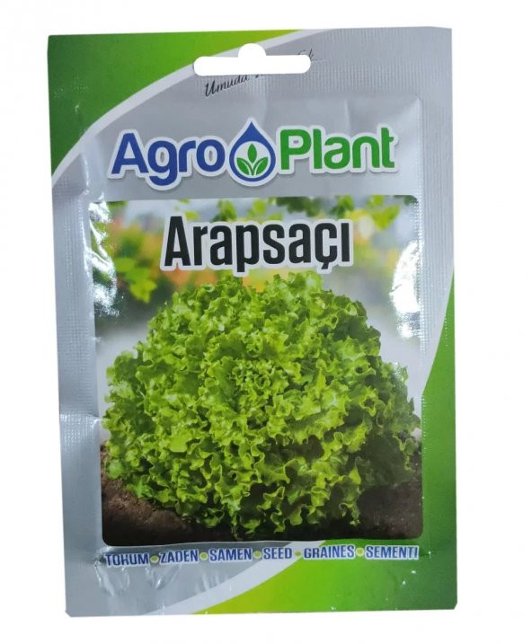 Agroplant Arapsaçı Marul Tohumu 25gr Paket