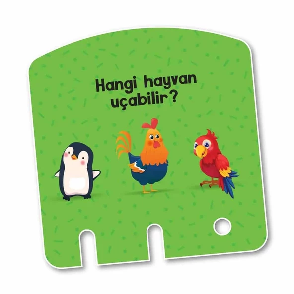Y.Z. 2-4 Yaş Konuşma ve Dikkati Geliştiren Cırt Cırtlı Etkinlik Kitabım ve 2-4 Yaş Zeka Kutusu Konuşmayı Geliştiren Oyun - 8