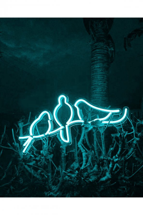Bird 3 Kuş Neon Led Işıklı Dekoratif Duvar Aydınlatması Anahtar İle Açma Kapama