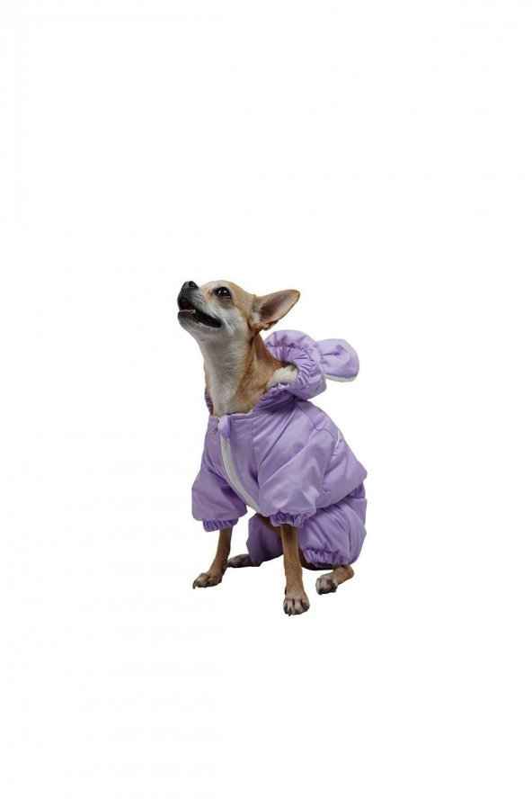 Lila Aplysia Küçük Ve Orta Irklar Için Tulum-mont Yağmurluk Kedi Köpek Kıyafeti - M