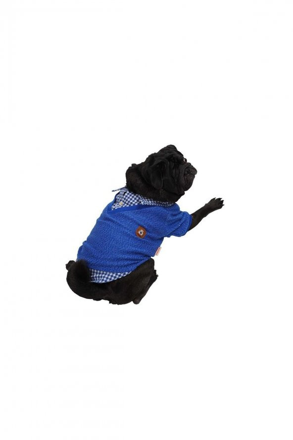 Mavi College Triko Sweat Kedi Köpek Sweat Kedi Köpek Kıyafeti - L