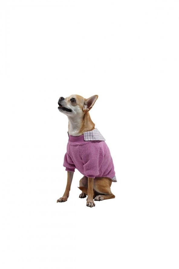 Pembe College Triko Sweat Kedi Köpek Sweat Kedi Köpek Kıyafeti - XXL