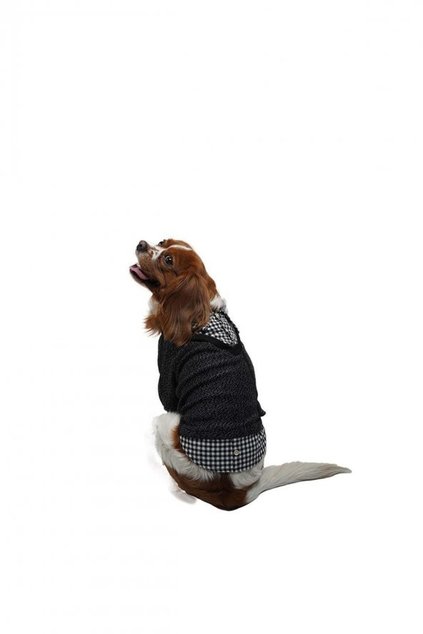 Siyah College Triko Sweat Kedi Köpek Sweat Kedi Köpek Kıyafeti - M