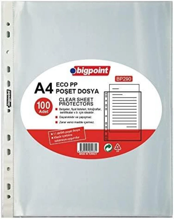 Bigpoint Poşet Dosya Eco 30 Mikron 100'lü Paket