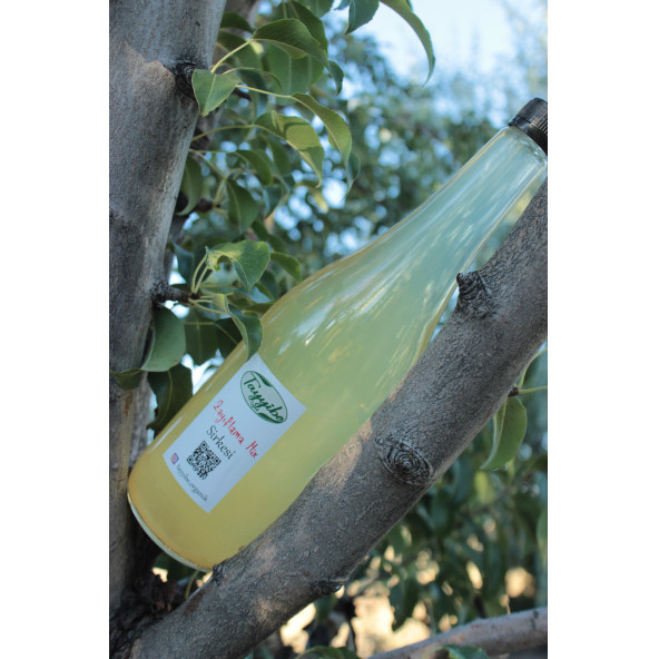 Zayıflama Mix Sirkesi 1000ml - 2