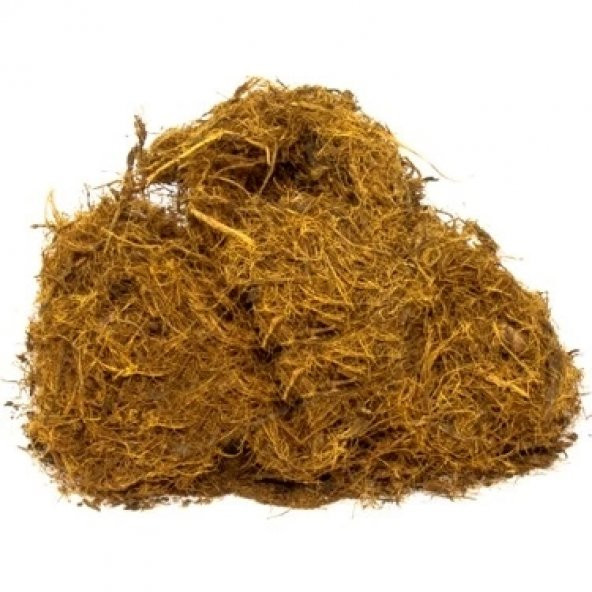 Dökme Bitkiler Meyankökü Tiftik - 100 Gr