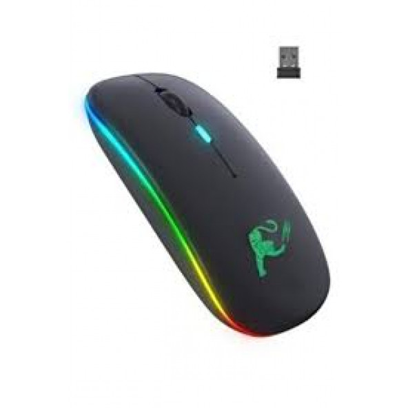Rgb Led Işıklı Şarjlı Kablosuz Mouse Sessiz 2.4 Ghz Usb Wireless 800-1200-1600 Ayarlanabilir Dpi