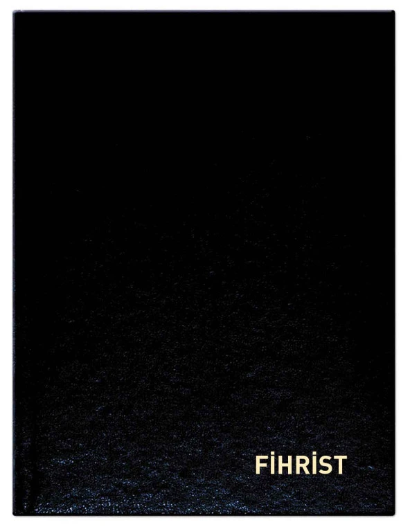 Fihrist 16x21 cm 12'li (336 sayfa)