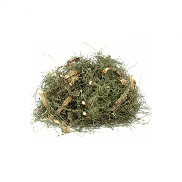 Dökme Bitkiler Atkuyruğu / Kırkkilit Otu -100 Gr ürün görseli