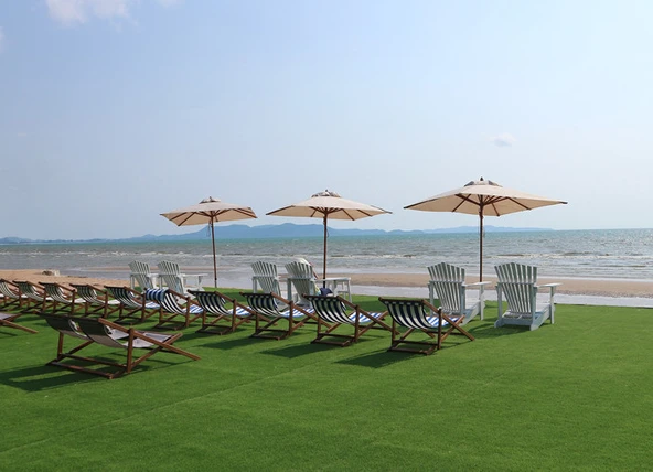 Lawn&Art Seaside Mix Yazlıklar için Çim Tohumu Karışımı 1 kg - 4