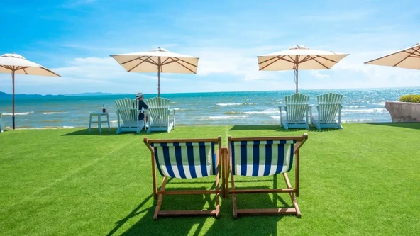 Lawn&Art Seaside Mix Yazlıklar için Çim Tohumu Karışımı 1 kg - 3