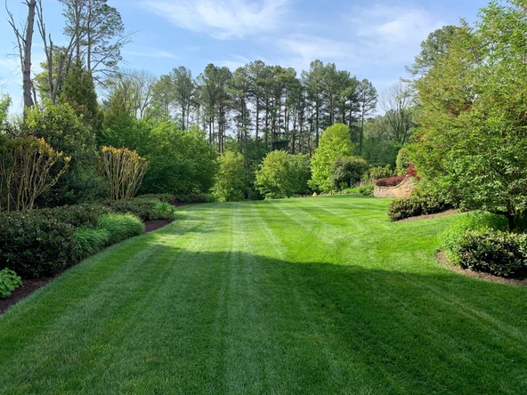 Lawn&Art Shade-Cool Mix Gölge Alanlar için Çim Tohumu Karışımı 1 kg - 3