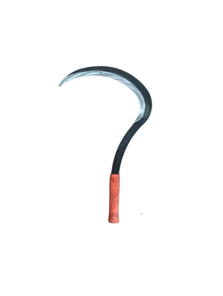 NO:3 ERGÜVEN ORAK ürün görseli 1