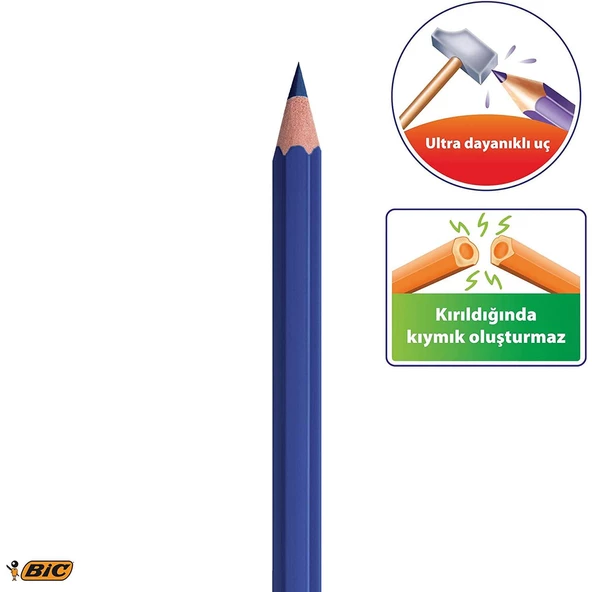 Bic Kids Evolution Kuru Boya Kalemi 24 Renk - 2