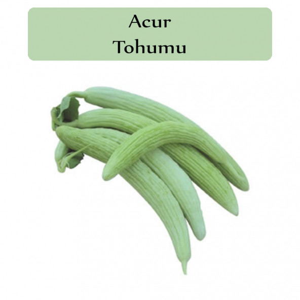 Acur Tohumu 1 Paket 1. Kalite Tohum ürün görseli