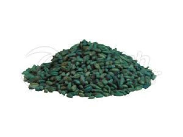 Fare Kulağı Tohumu -Dichondra Repens-250 gr - 2
